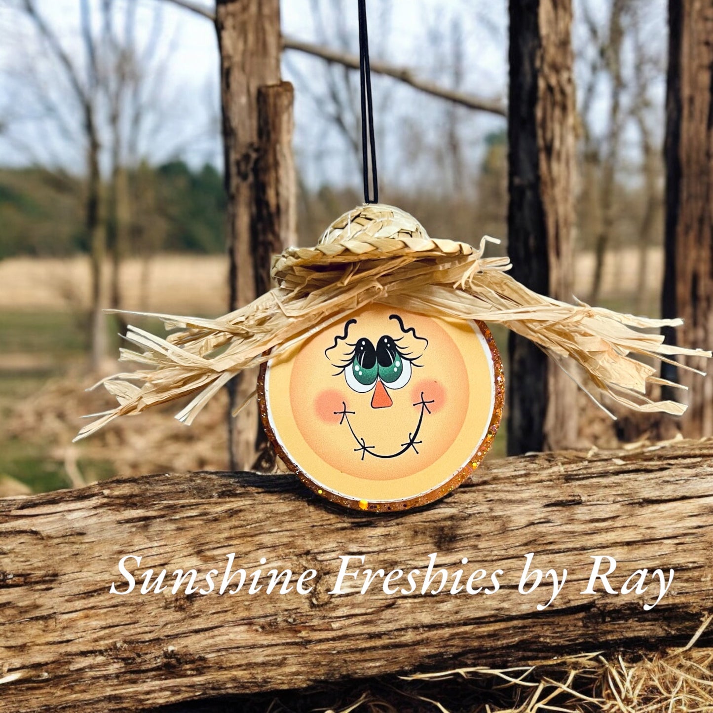Scarecrow Freshie