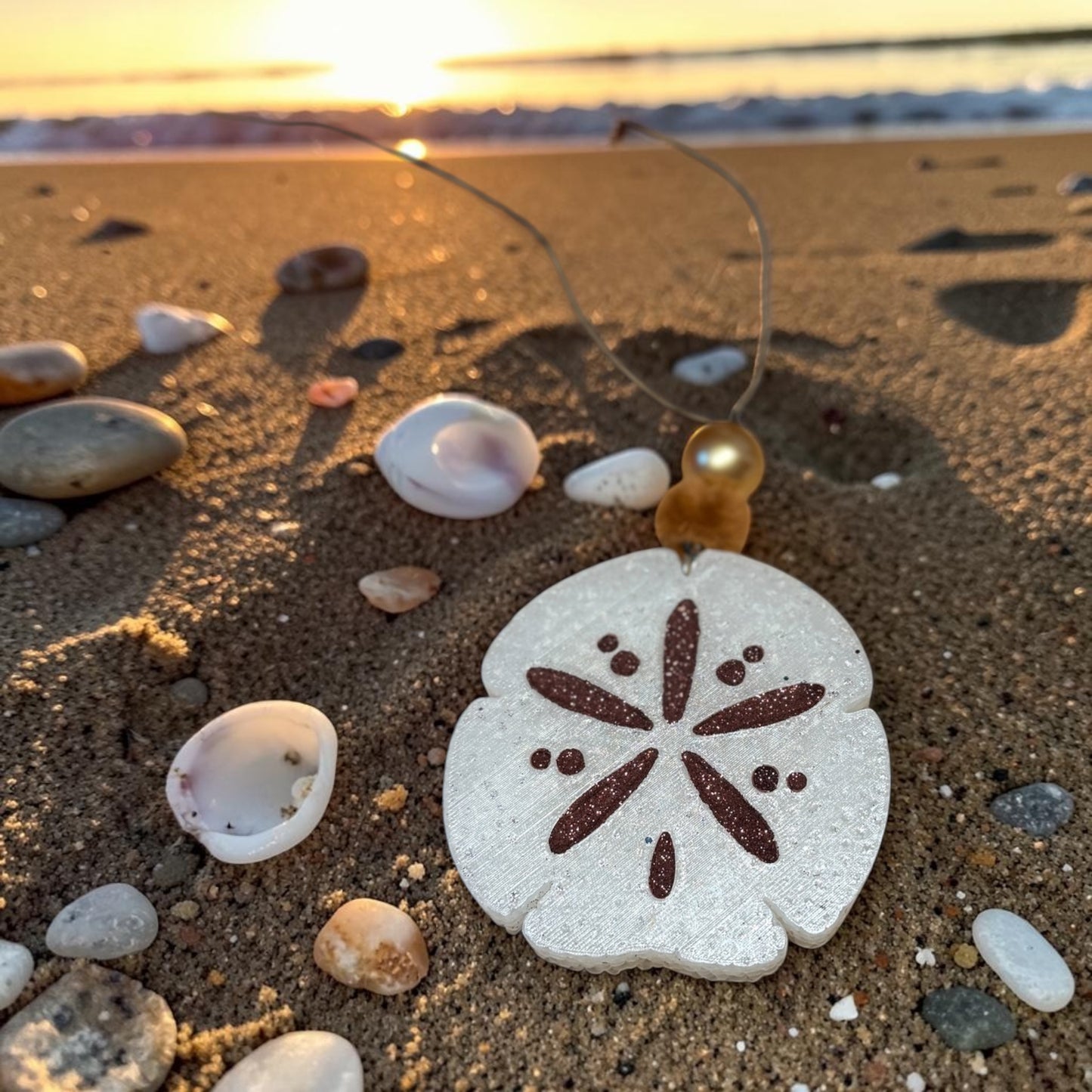 Sand Dollar