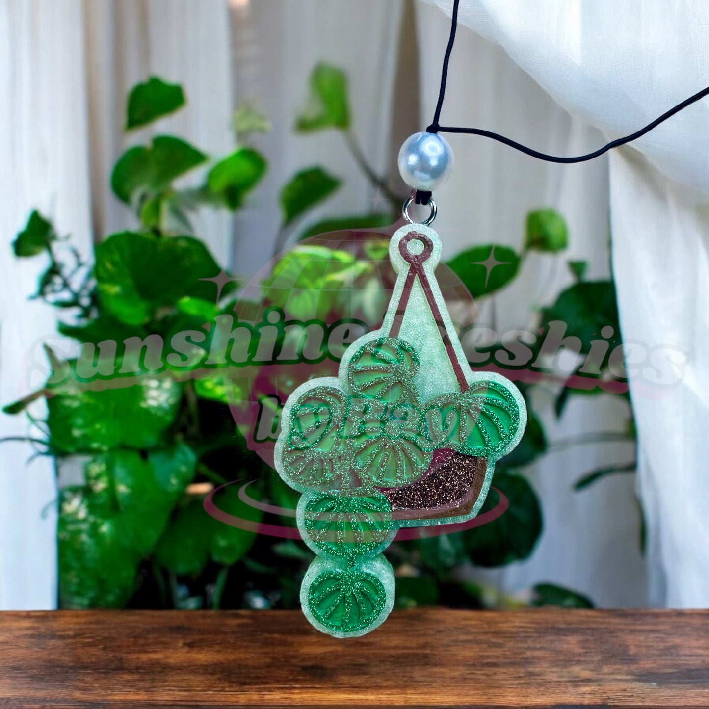 Hanging Plant