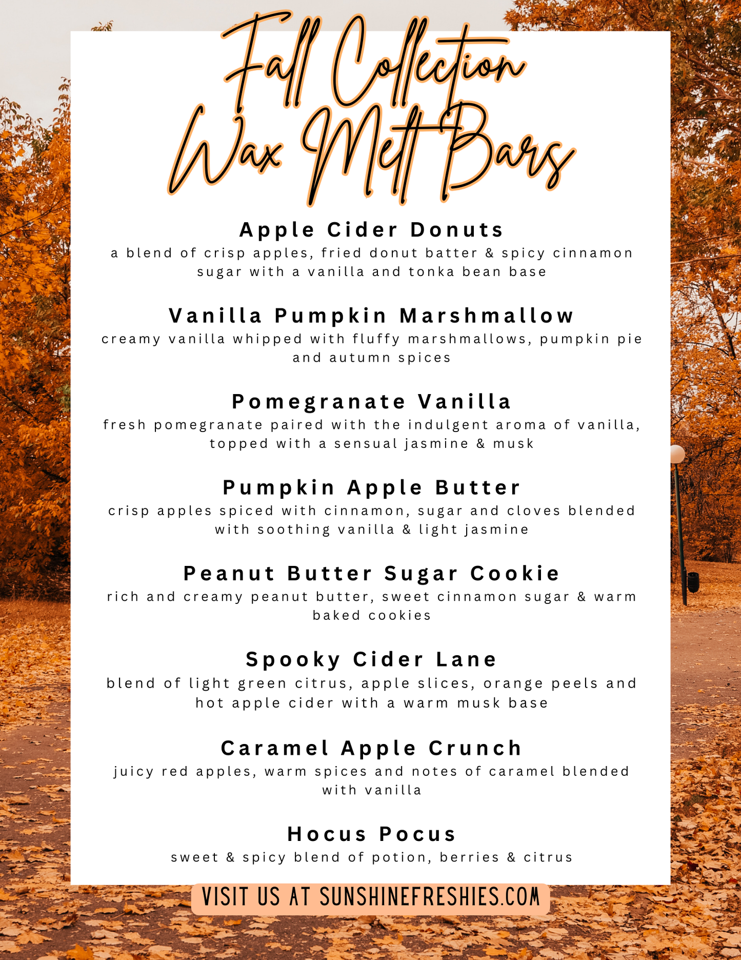 Fall Wax Melt Bars