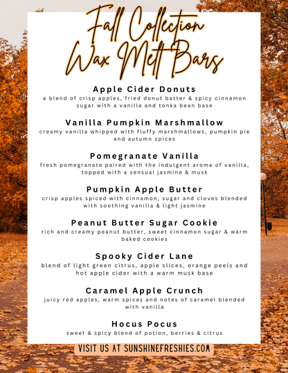 Fall Wax Melt Bars