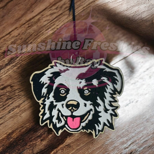 Australian Shepherd