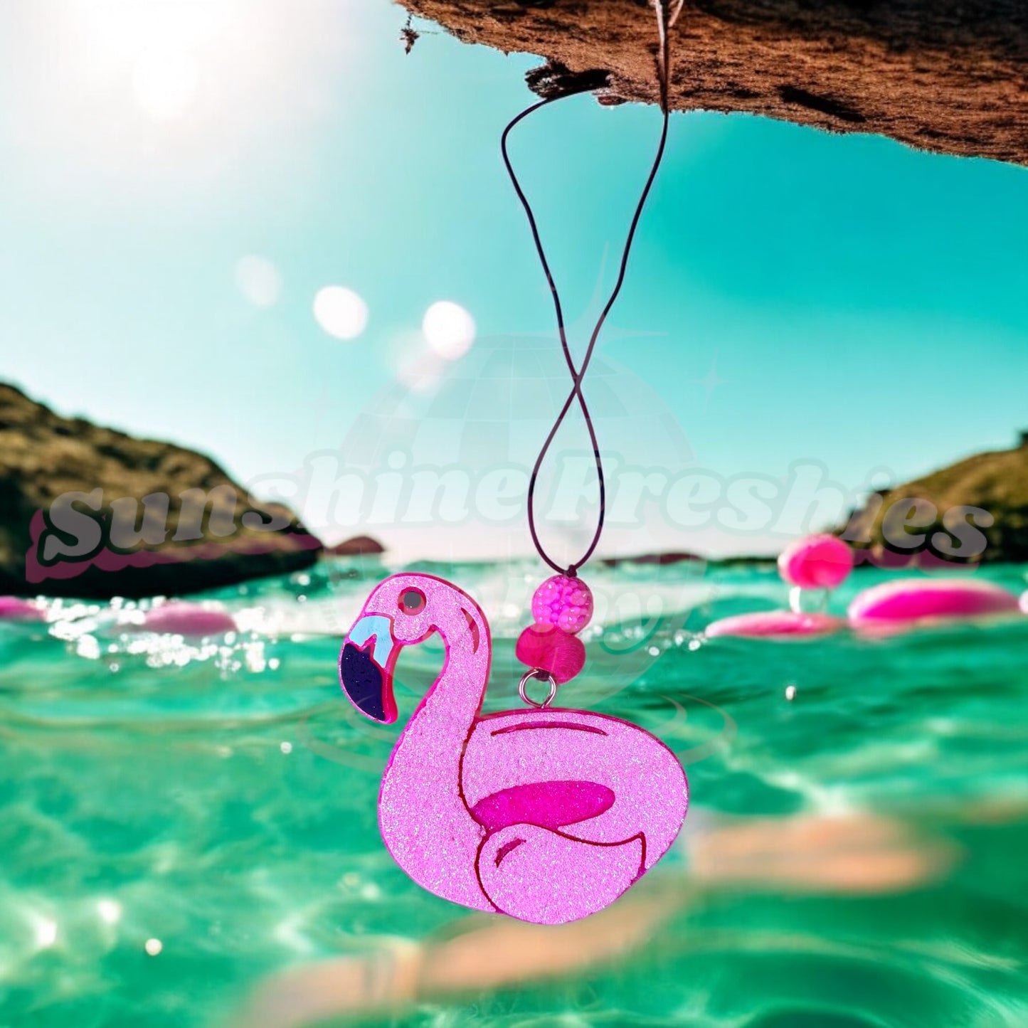 Pool Float