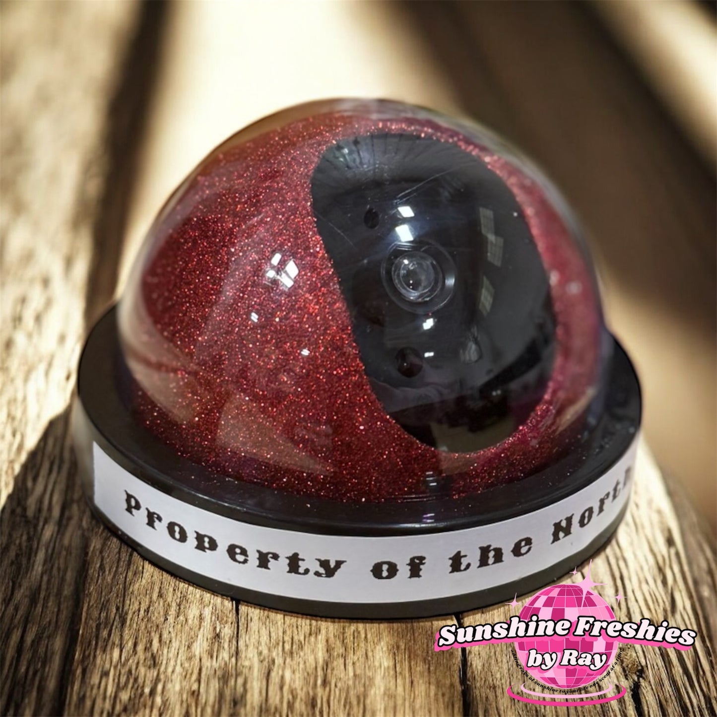 North Pole Santa Cam